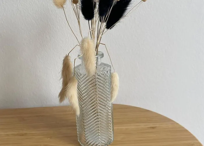 Duplex アパート *